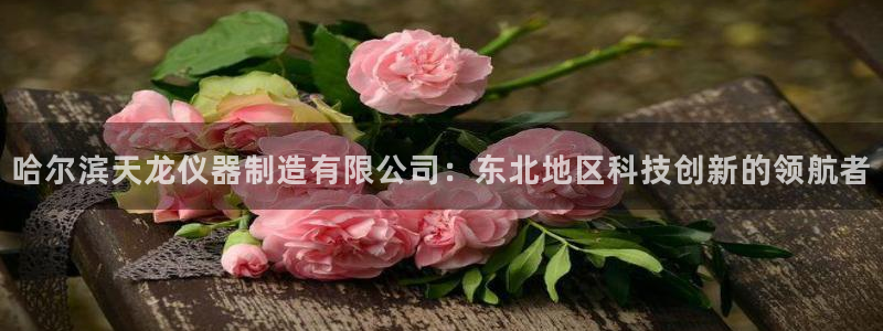 门徒娱乐什么平台可以看：哈尔滨天龙仪器制造有限公司：东北地区