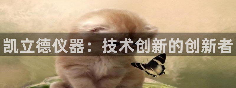 娱乐门徒内容：凯立德仪器：技术创新的创新者