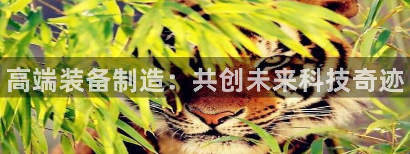 门徒娱乐注册下载安卓版：高端装备制造：共创未来科技奇迹