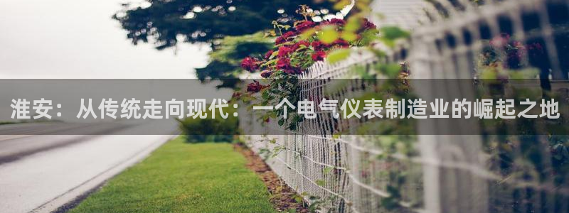 门徒娱乐找q22o32：淮安：从传统走向现代：一个电气仪表制