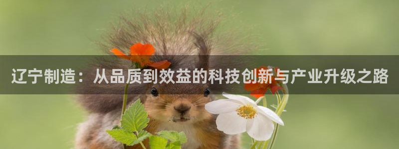 门徒娱乐账号注册流程图：辽宁制造：从品质到效益的科技创新与产