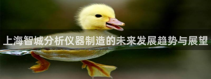 门徒娱乐场究7276O：上海智城分析仪器制造的未来发展趋势与