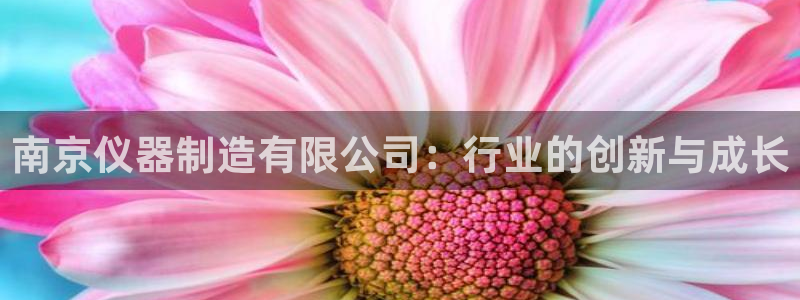 门徒娱乐怎么代理赚钱：南京仪器制造有限公司：行业的创新与成长