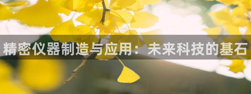 门徒娱乐去看判官333OO：精密仪器制造与应用：未来科技的基