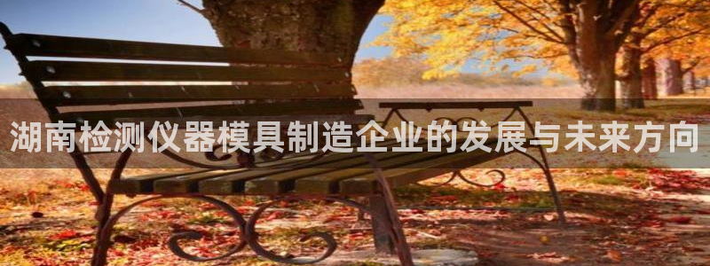 门徒娱乐左5指尖：湖南检测仪器模具制造企业的发展与未来方向