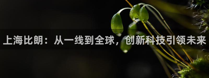 门徒娱乐软件下载：上海比朗：从一线到全球，创新科技引领未来