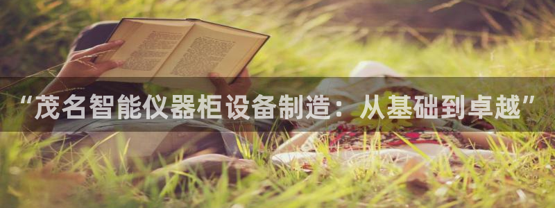 娱乐门徒80：“茂名智能仪器柜设备制造：从基础到卓越”