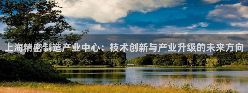 门徒娱乐主管之判官333OO：上海精密制造产业中心：技术创新