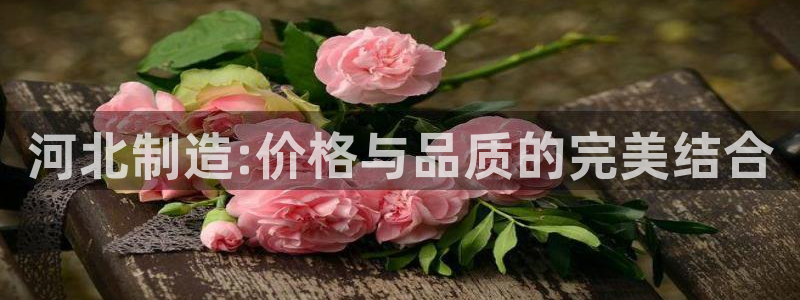 门徒娱乐主管注册：河北制造:价格与品质的完美结合