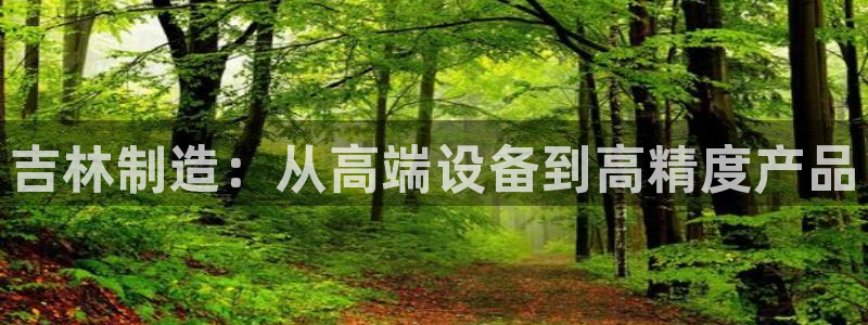 门徒娱乐项目是什么：吉林制造：从高端设备到高精度产品