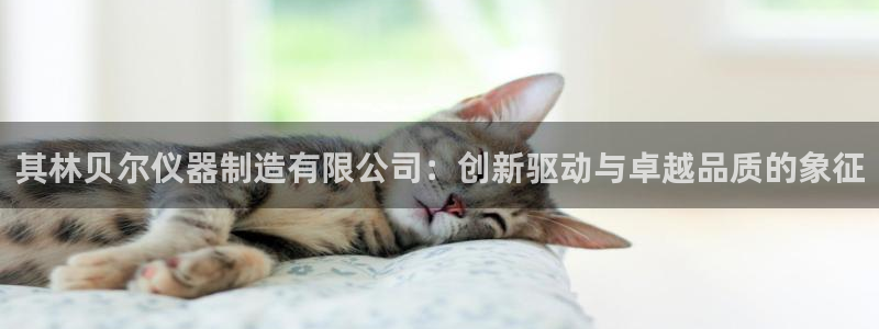 门徒娱乐什么平台直播好：其林贝尔仪器制造有限公司：创新驱动与