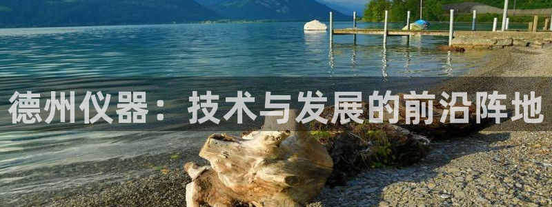 门徒娱乐挂机：德州仪器：技术与发展的前沿阵地