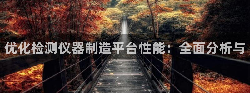 门徒娱乐主管39977l6官网：优化检测仪器制造平台性能：全