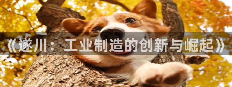 门徒娱乐注册官方账号：《遂川：工业制造的创新与崛起》