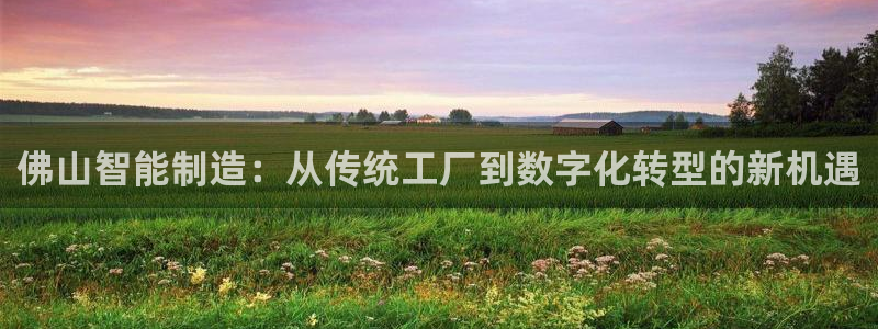 门徒娱乐登陆网站下载：佛山智能制造：从传统工厂到数字化转型的