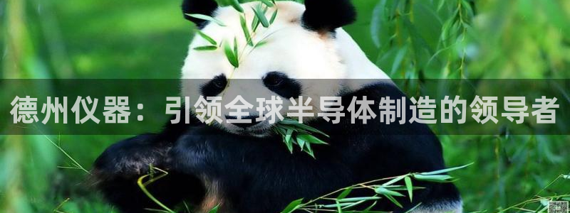 门徒娱乐盈利方法分析：德州仪器：引领全球半导体制造的领导者