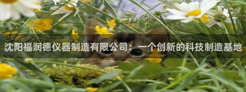 门徒娱乐线路图高清版：沈阳福润德仪器制造有限公司：一个创新的