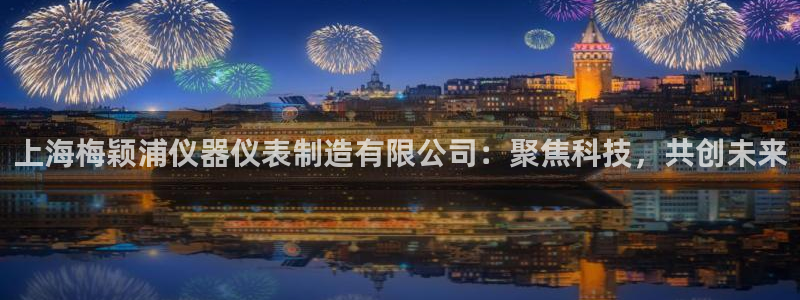门徒娱乐前5指尖：上海梅颖浦仪器仪表制造有限公司：聚焦科技，