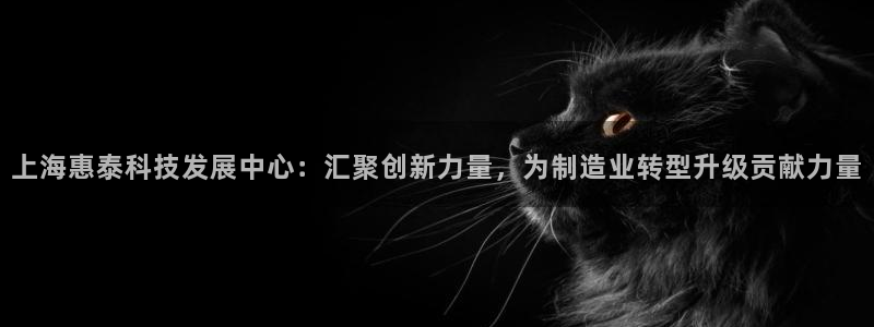 门徒娱乐开奖平台下载：上海惠泰科技发展中心：汇聚创新力量，为