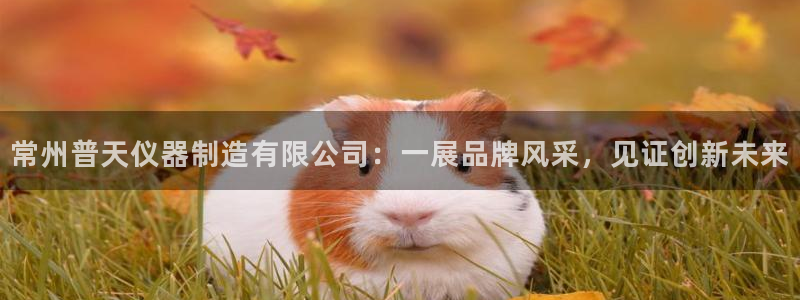 娱乐门徒电影解说：常州普天仪器制造有限公司：一展品牌风采，见