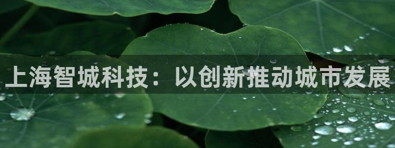 娱乐门徒完结了没有：上海智城科技：以创新推动城市发展