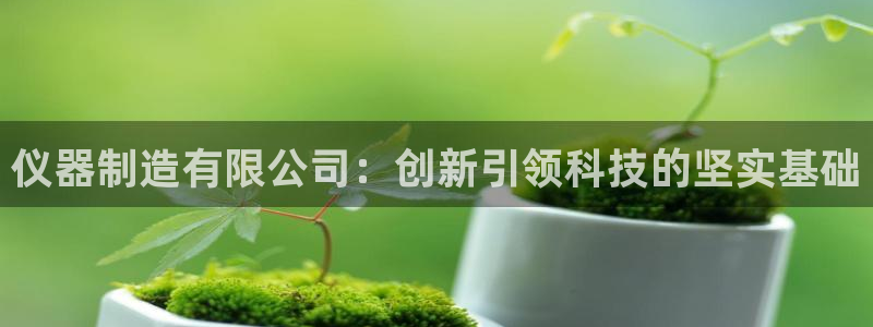 门徒娱乐平台代理登录：仪器制造有限公司：创新引领科技的坚实基