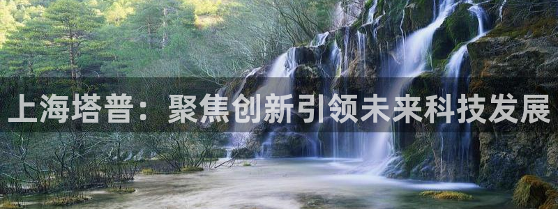 门徒娱乐开户：上海塔普：聚焦创新引领未来科技发展