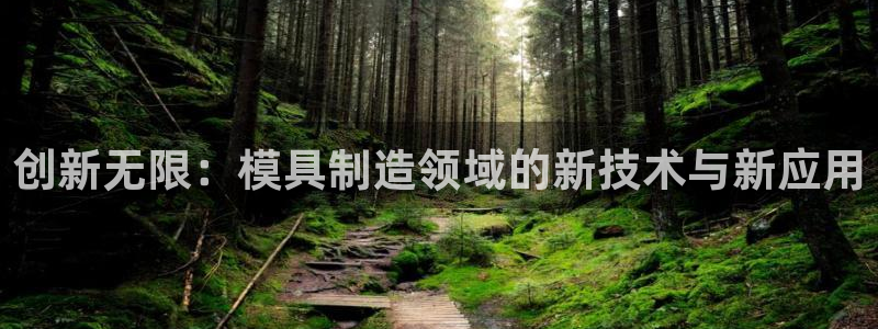 门徒娱乐品牌产品：创新无限：模具制造领域的新技术与新应用