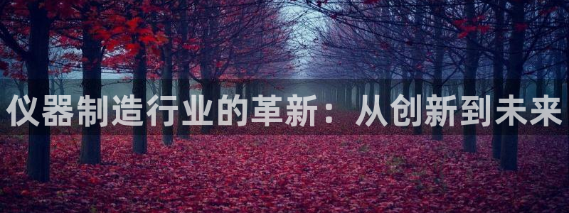 门徒娱乐是不是赌博行为：仪器制造行业的革新：从创新到未来