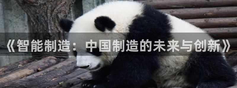 门徒娱乐川六七五一38：《智能制造：中国制造的未来与创新》