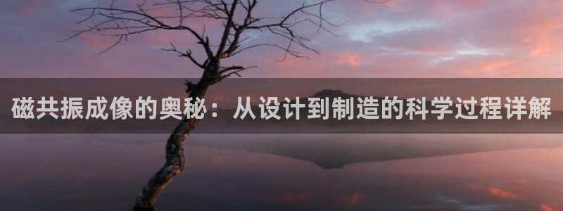 万国觉醒娱乐门徒攻略图：磁共振成像的奥秘：从设计到制造的科学