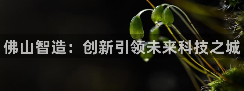 门徒娱乐注册登录不上去：佛山智造：创新引领未来科技之城