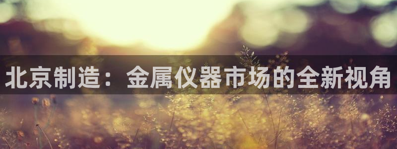 娱乐之门徒：北京制造：金属仪器市场的全新视角