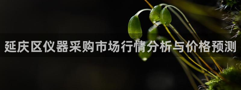 门徒娱乐场所开放时间表：延庆区仪器采购市场行情分析与价格预测