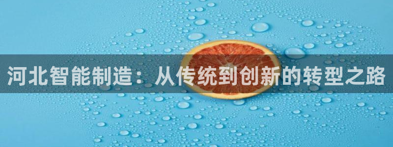 门徒娱乐成功案例有哪些：河北智能制造：从传统到创新的转型之路