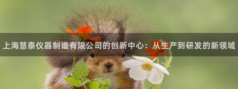 门徒娱乐网页版下载地址：上海慧泰仪器制造有限公司的创新中心：