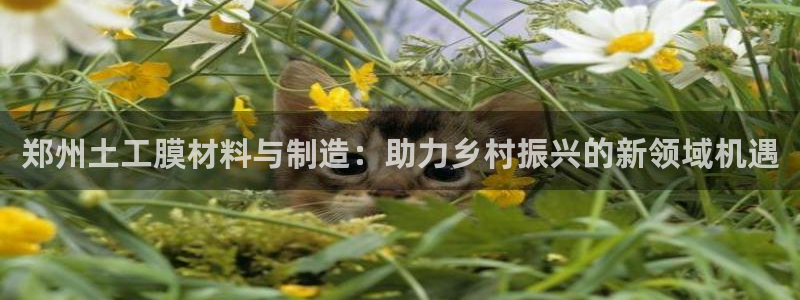门徒娱乐平台怎么样：郑州土工膜材料与制造：助力乡村振兴的新领