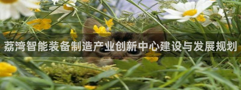 娱乐门徒r：荔湾智能装备制造产业创新中心建设与发展规划