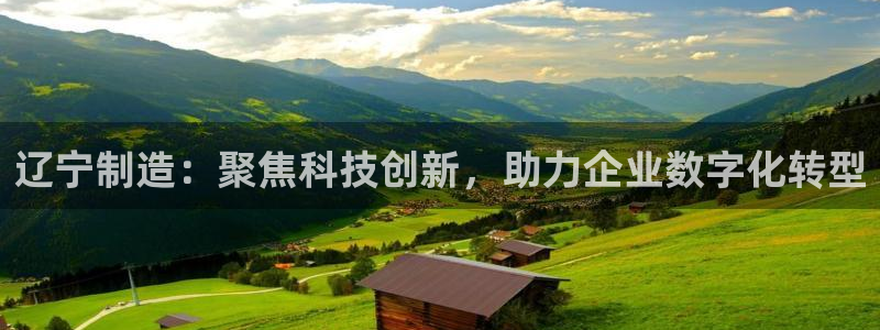 娱乐门徒免费下载：辽宁制造：聚焦科技创新，助力企业数字化转型