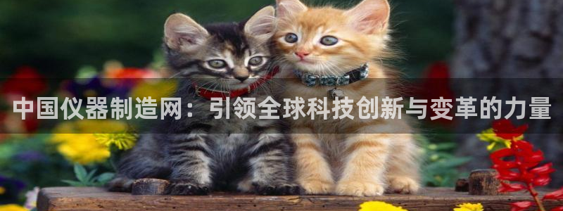 门徒娱乐手机登录：中国仪器制造网：引领全球科技创新与变革的力