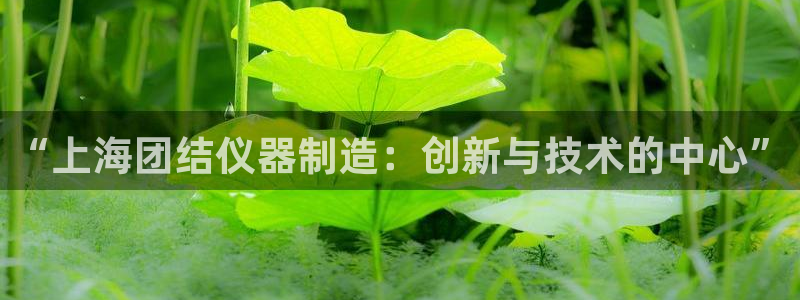 门徒娱乐官方地址下载：“上海团结仪器制造：创新与技术的中心”